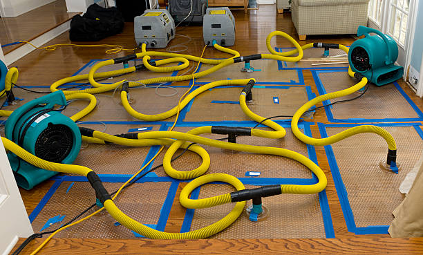 Professional Basement Flood Cleanup technician working in Magnolia Springs, AL